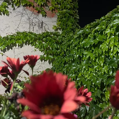 Giulietta's House Villamassargia